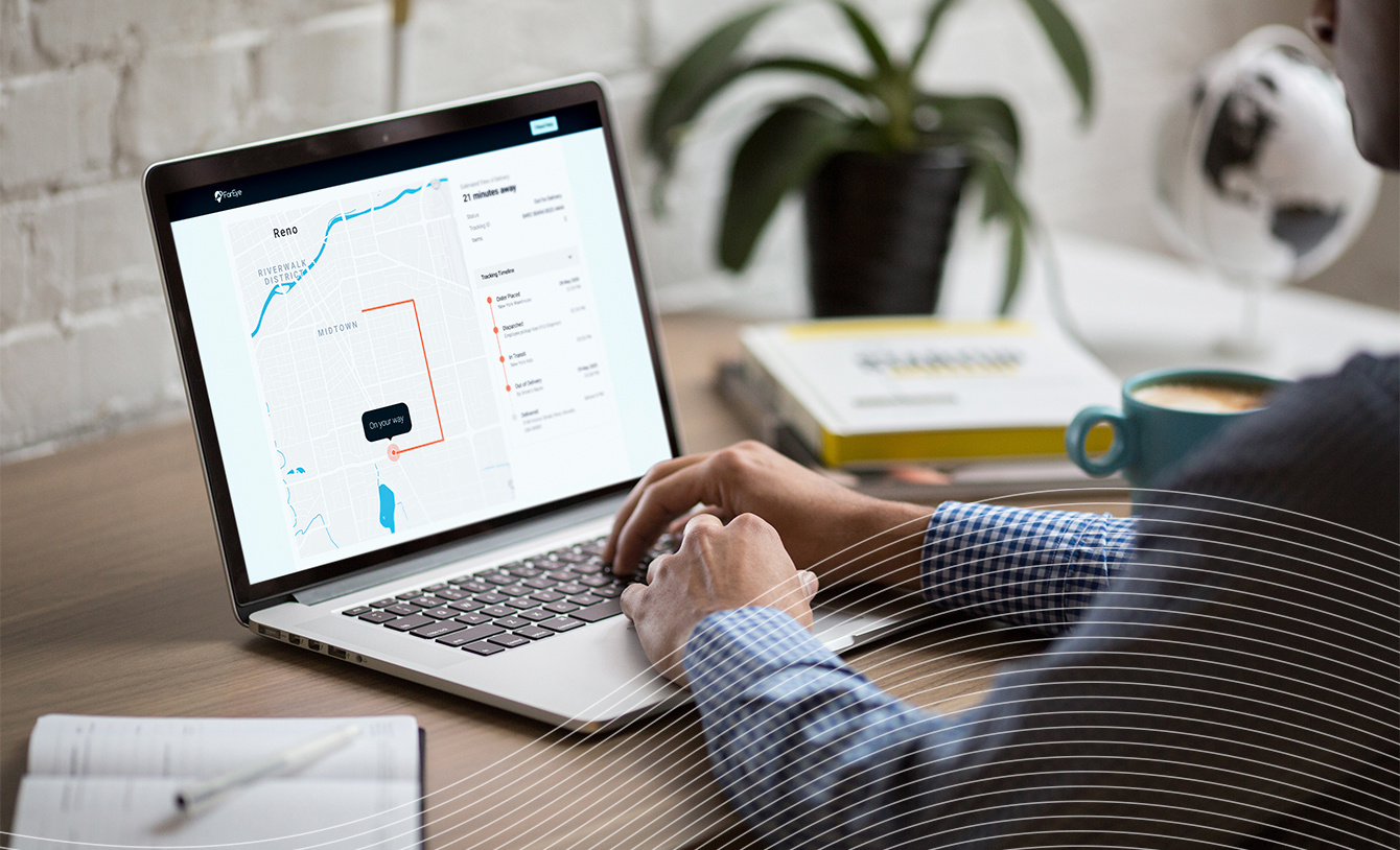 Fareye platform visibility