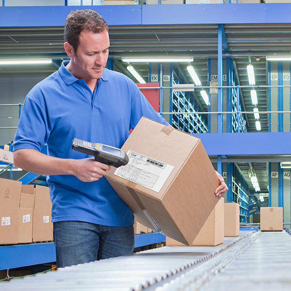 Thumbnail image scan 600x600